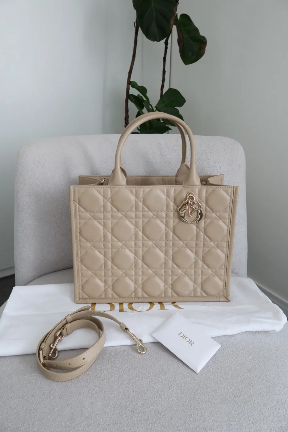 Bolsa Dior Book Tote Large Bege - 3