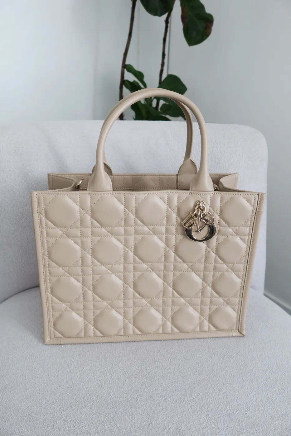 Bolsa Dior Book Tote Large Bege - 5