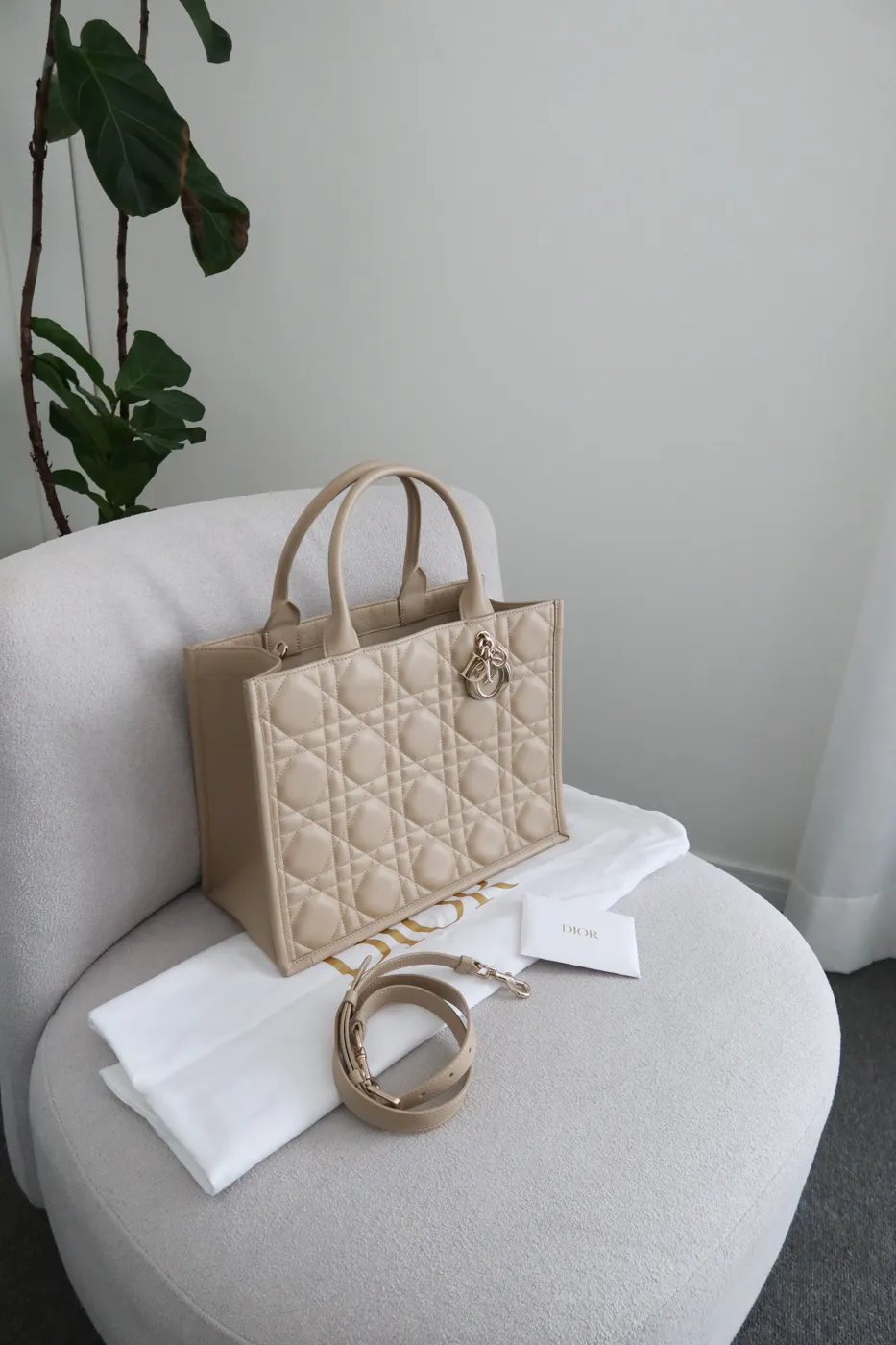 Bolsa Dior Book Tote Large Bege - 2
