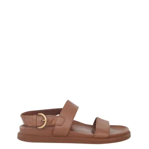 Papete Gianvito Rossi Caramelo Tam 38 Br