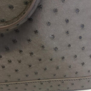 Bolsa Louis Vuitton Alma Cinza Avestruz Pequena