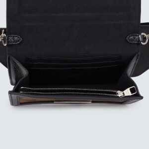 Pochette Louis Vuitton Dauphine monograma