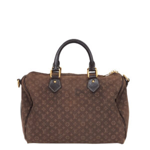 Bolsa Louis Vuitton Speedy Tecido