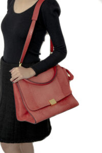 Bolsa Celine Phyton Laranja