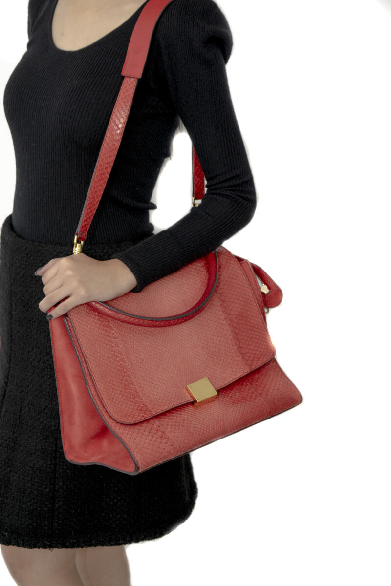 Bolsa Celine Phyton Laranja